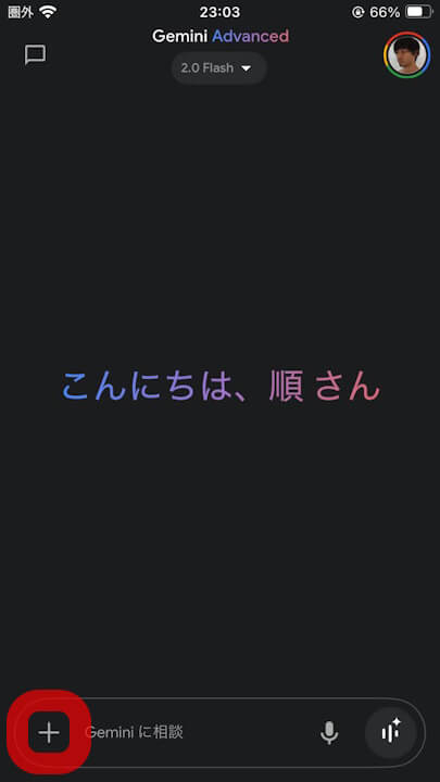 iOS Gemini